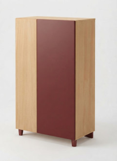 Armoire Vedra 2 Portes